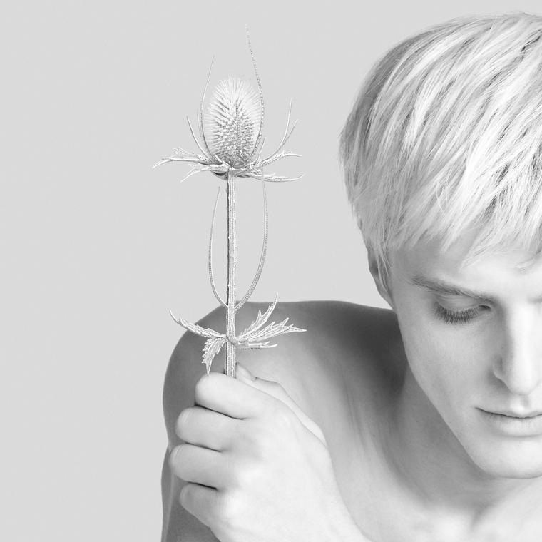 Composition No5 Impermanence Thistle brooch by Boucheron